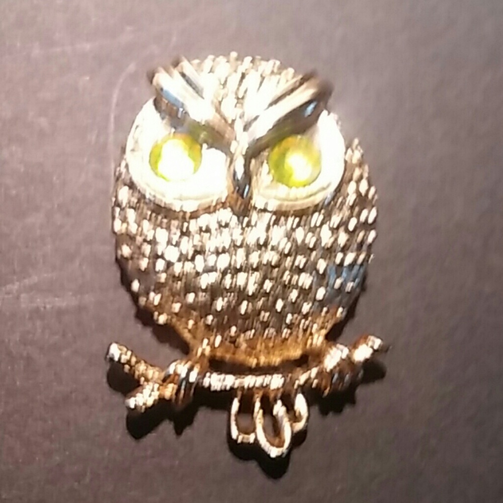 Vintage 1971 Sarah Coventry Hooter Owl Brooch